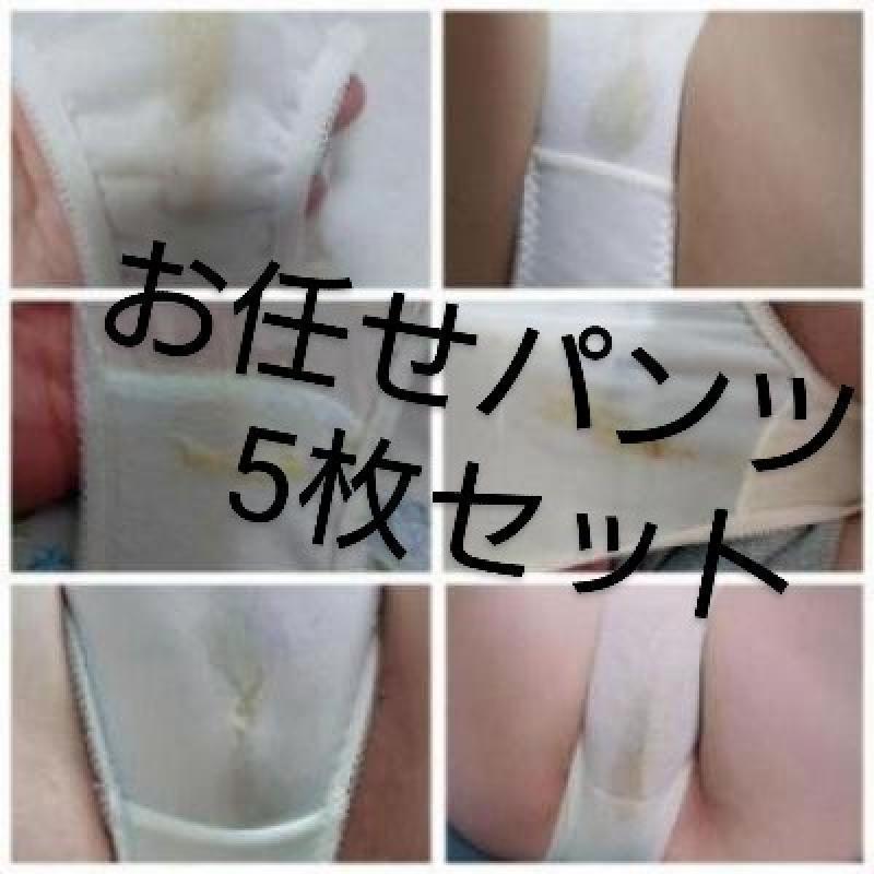 出品者名-写真