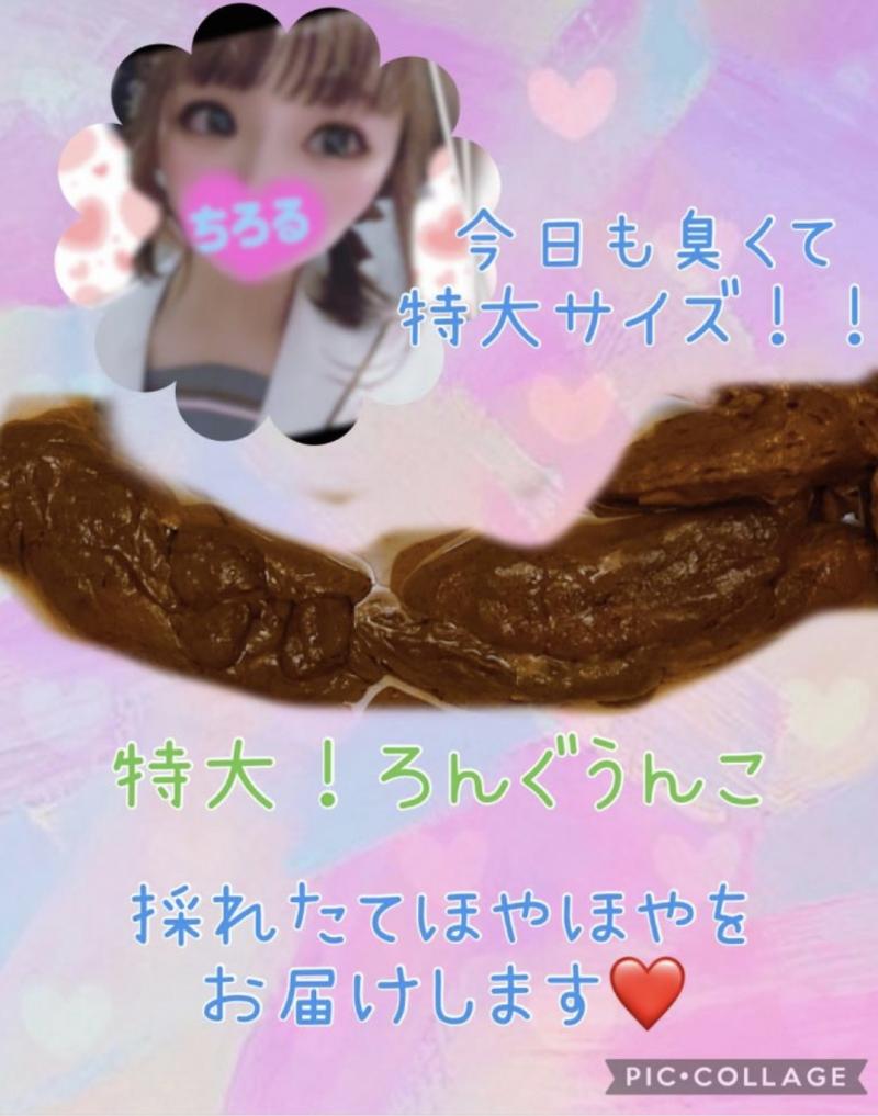 出品者名-写真