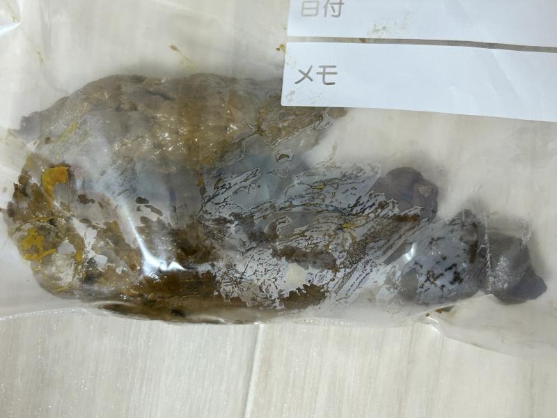 出品者名-写真-1