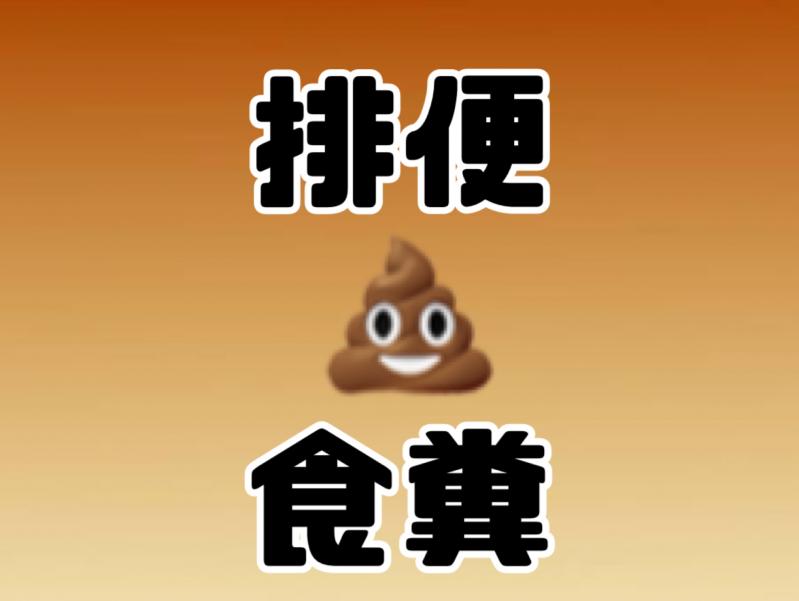 出品者名-写真