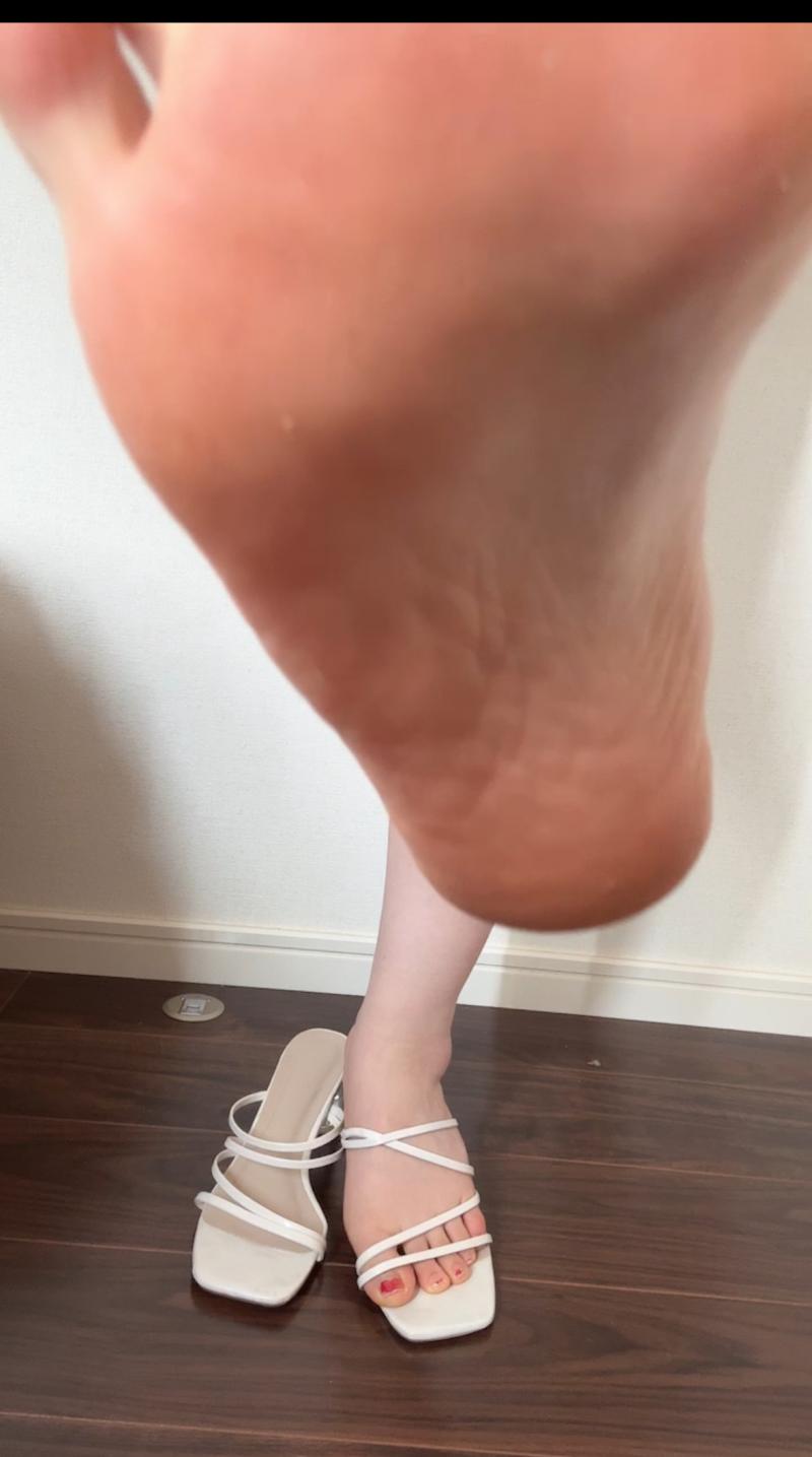 出品者名-写真-1
