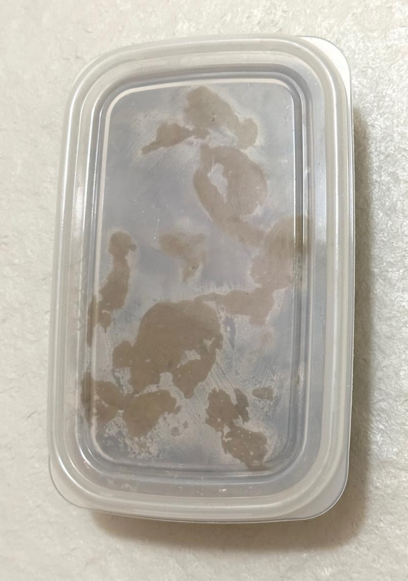 出品者名-写真-1