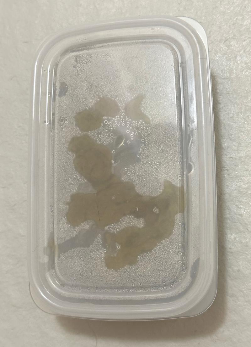 出品者名-写真-1