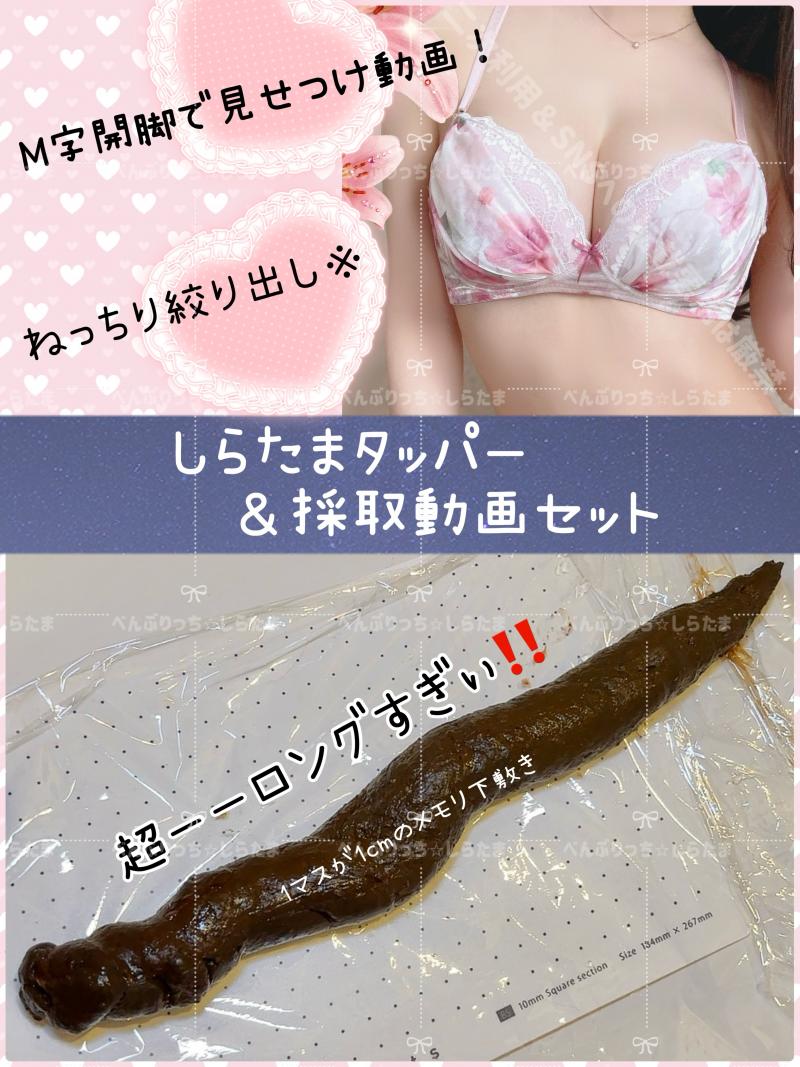 出品者名-写真