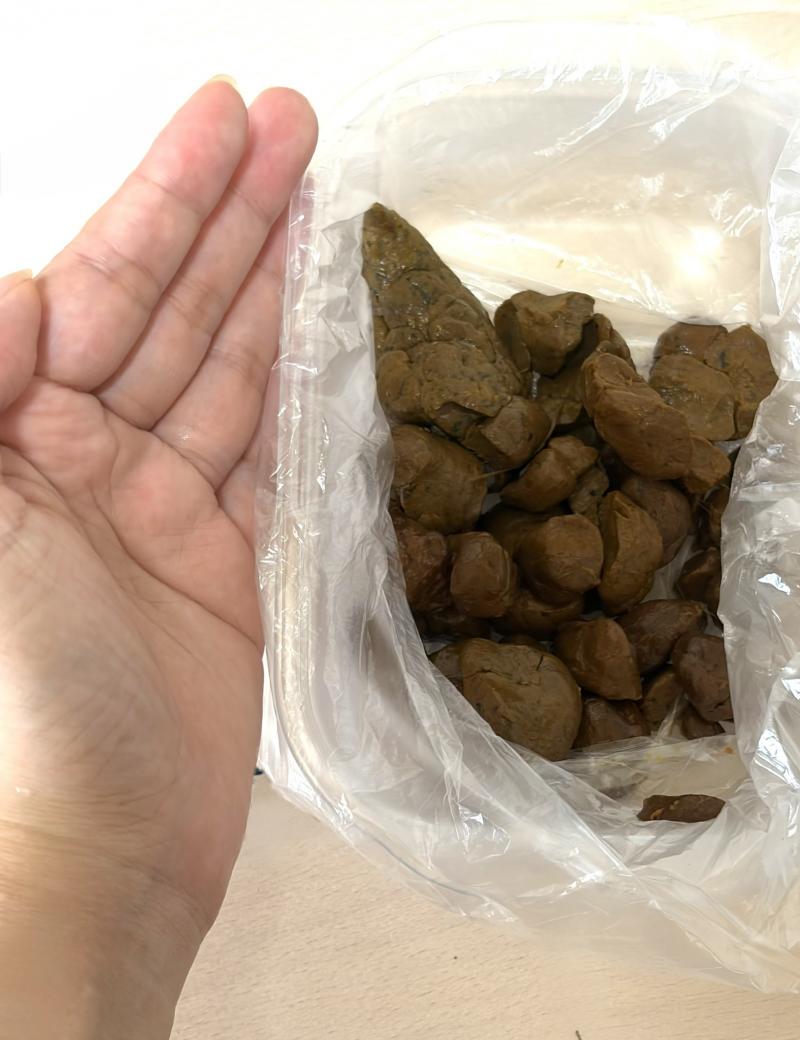 出品者名-写真-1