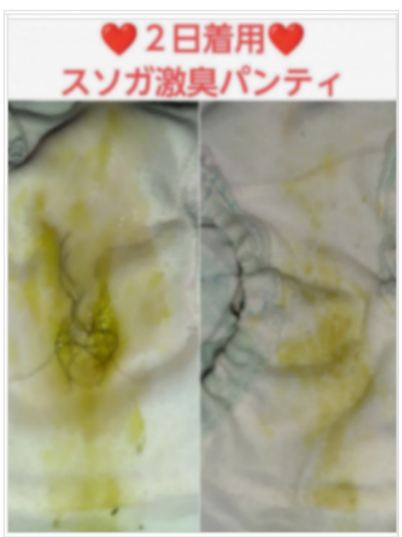 出品者名-写真