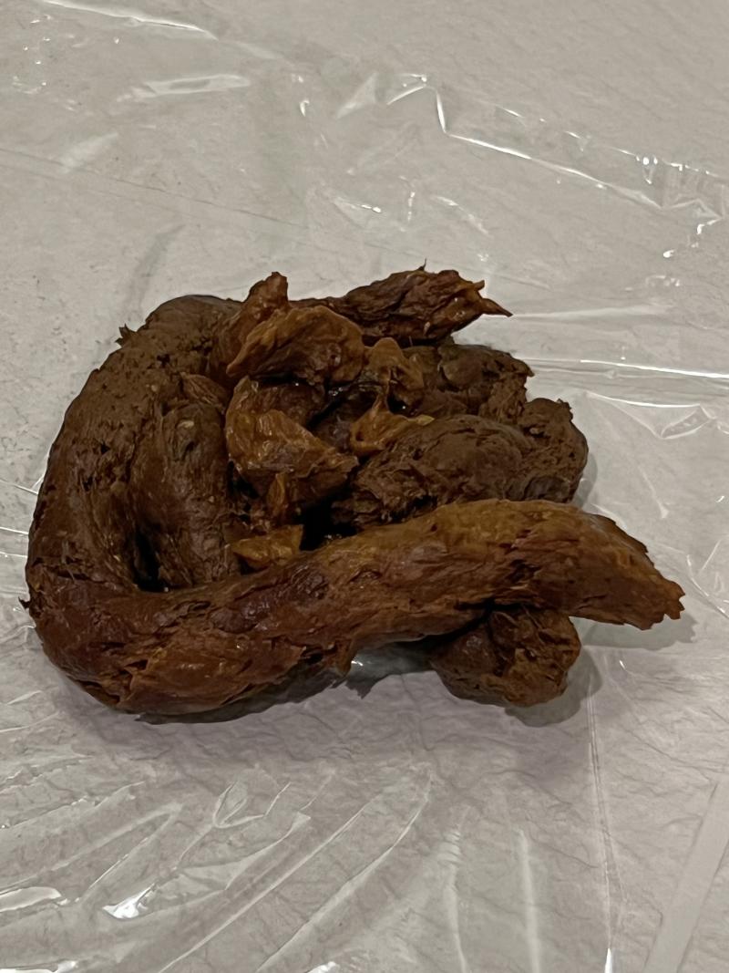 出品者名-写真