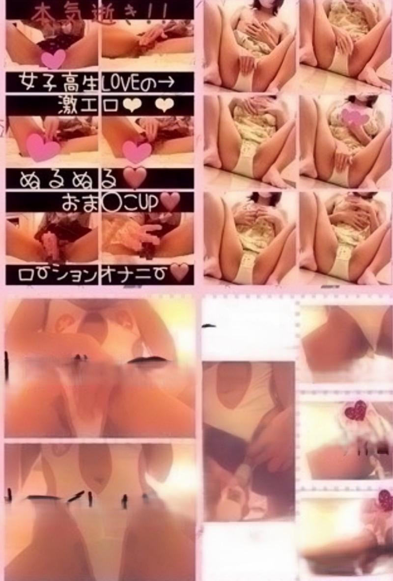 出品者名-写真-1