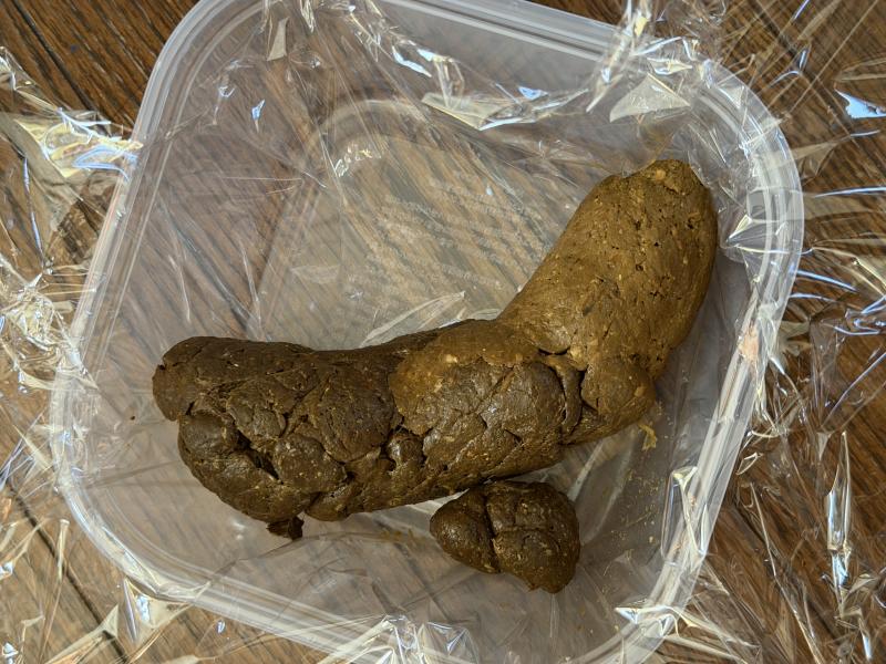 出品者名-写真-1