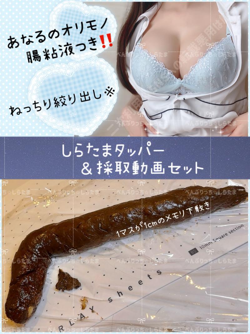出品者名-写真