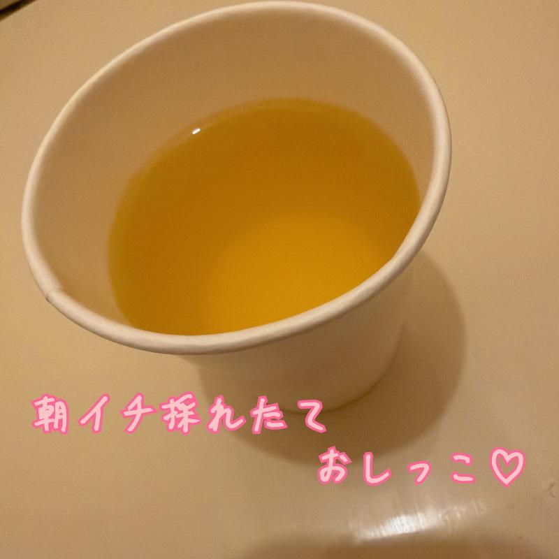 出品者名-写真