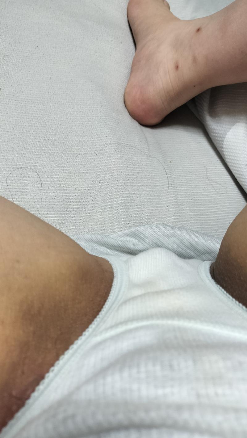 出品者名-写真-1