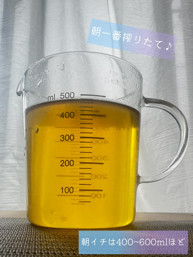 出品者名-写真-1