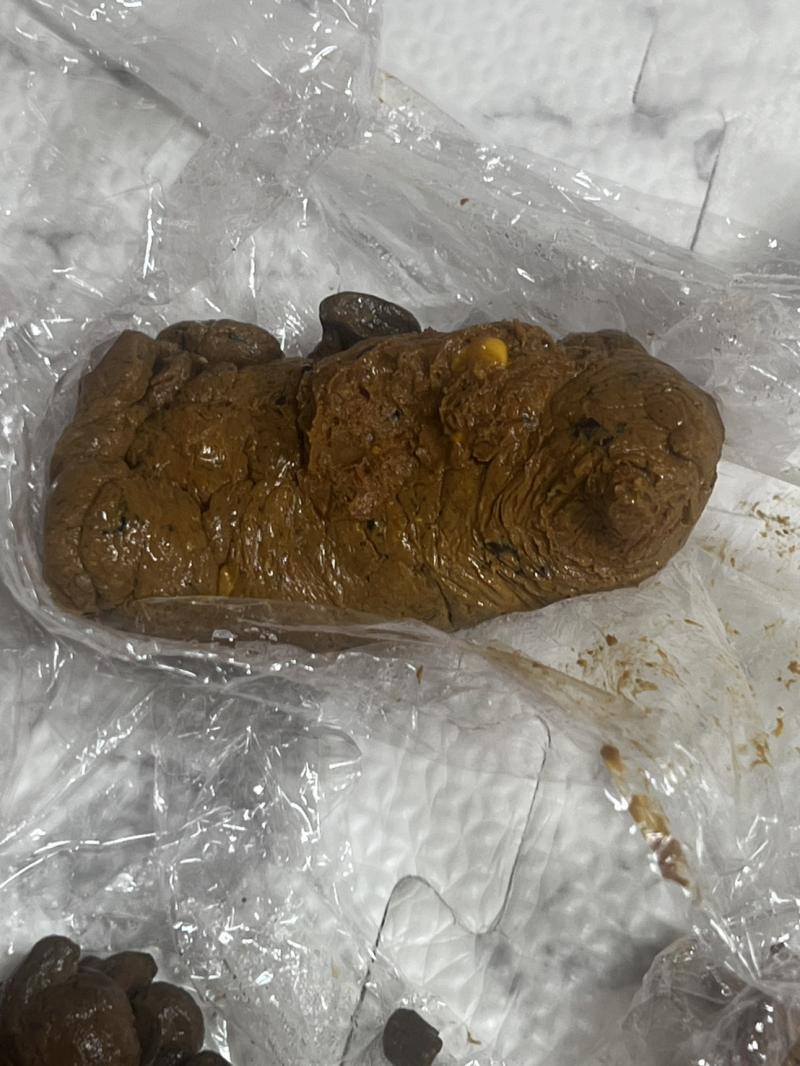 出品者名-写真-1