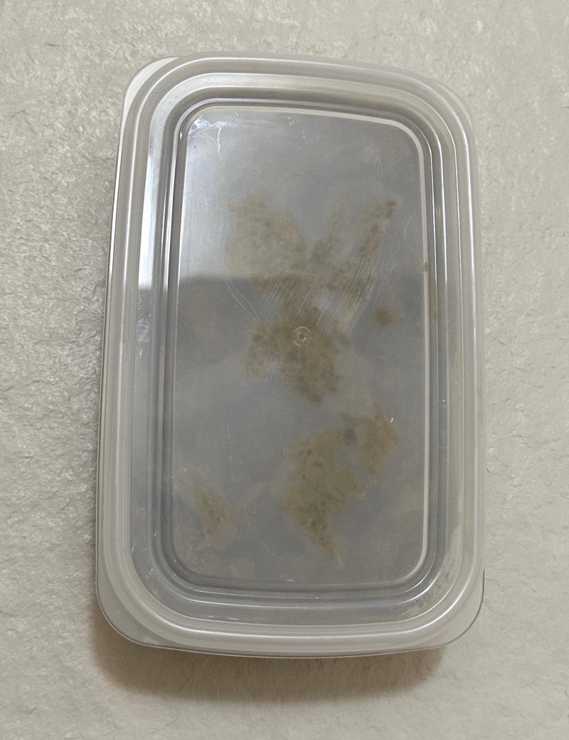 出品者名-写真-1
