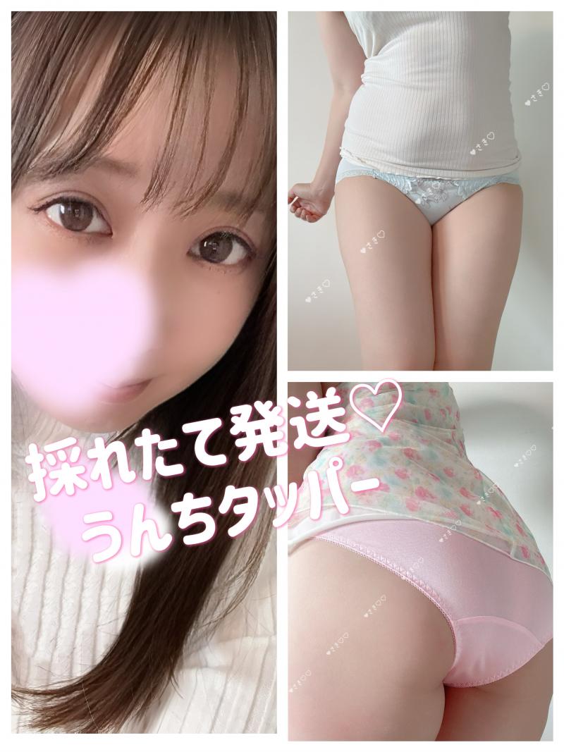 出品者名-写真