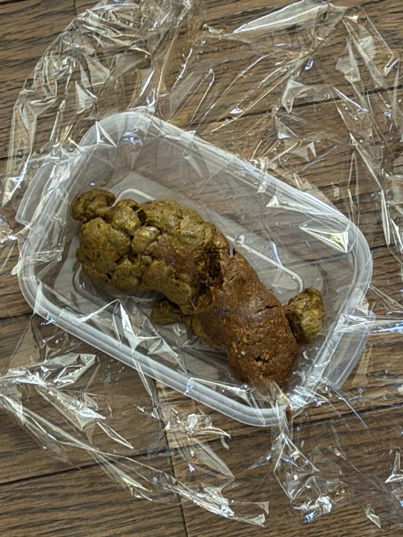 出品者名-写真-1