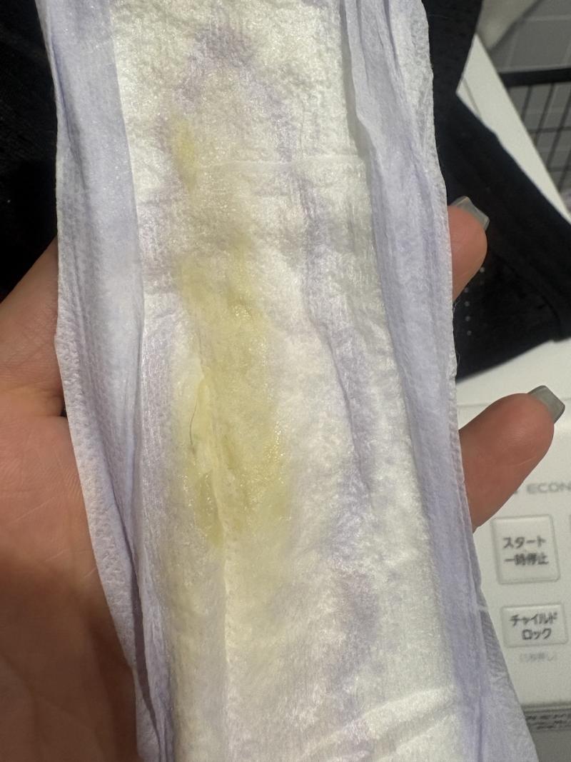 出品者名-写真-1