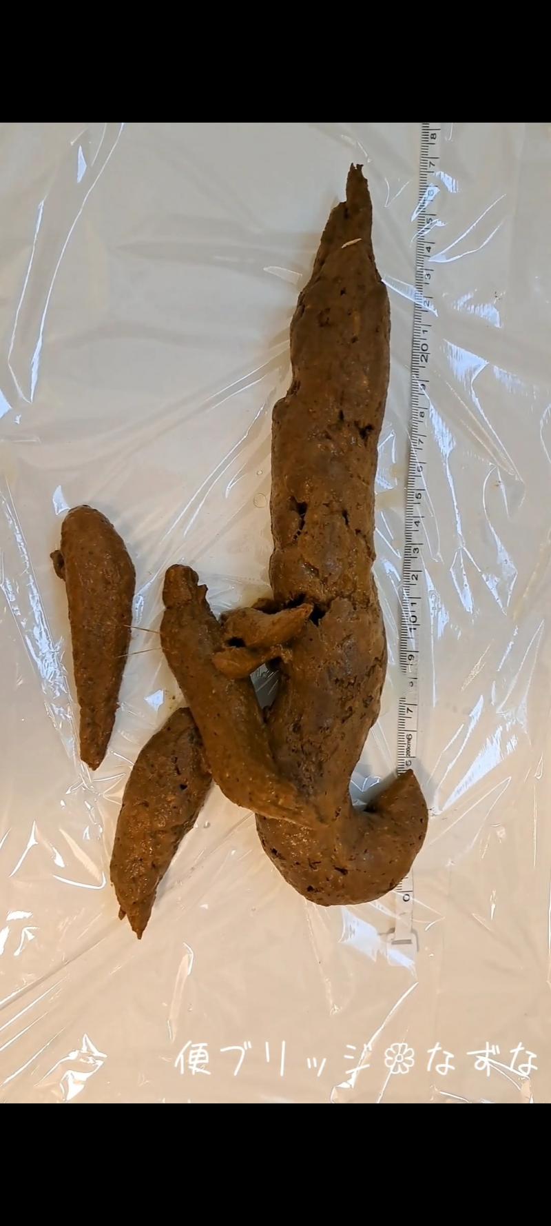 出品者名-写真-1