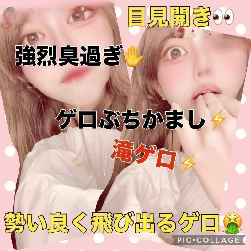 出品者名-写真
