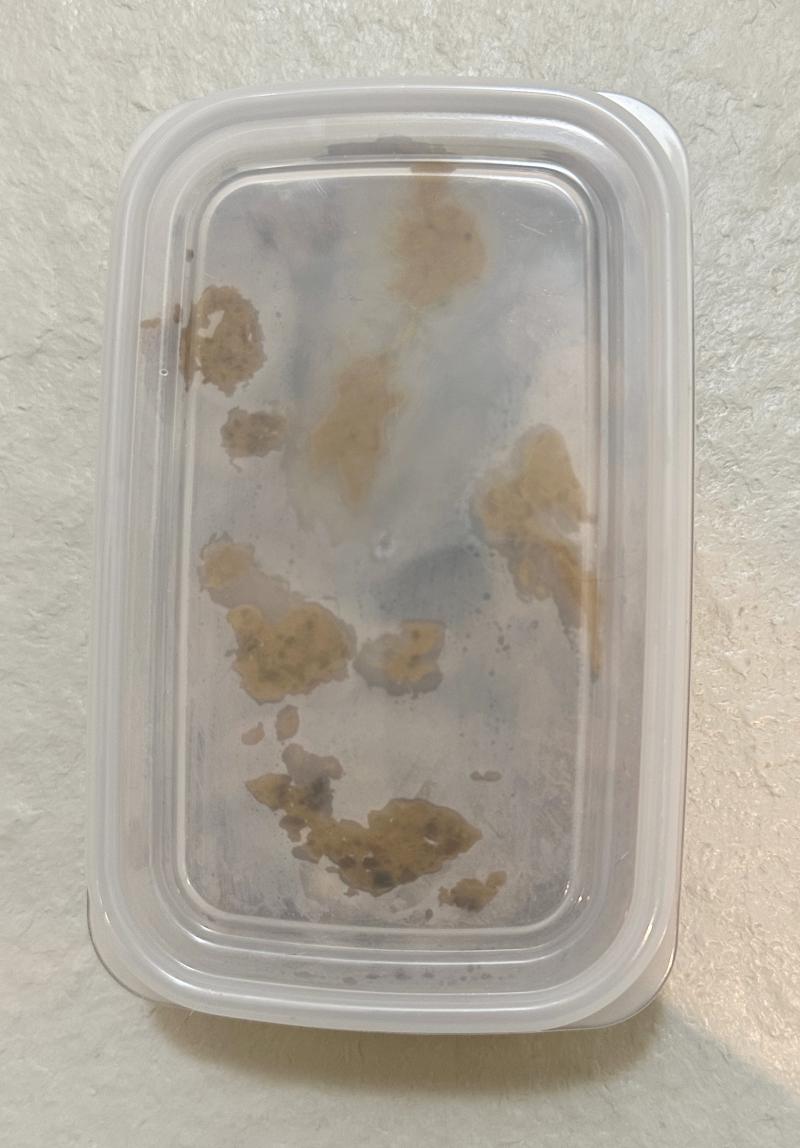 出品者名-写真-1
