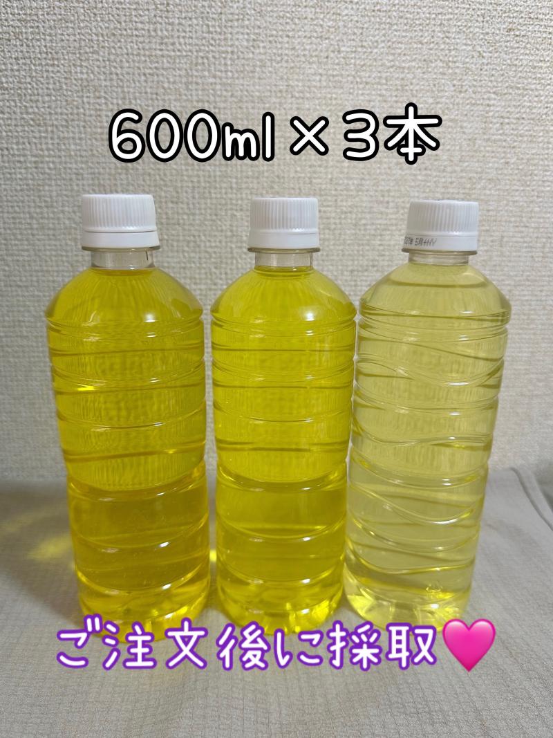 出品者名-写真