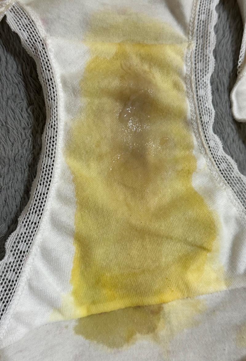 出品者名-写真