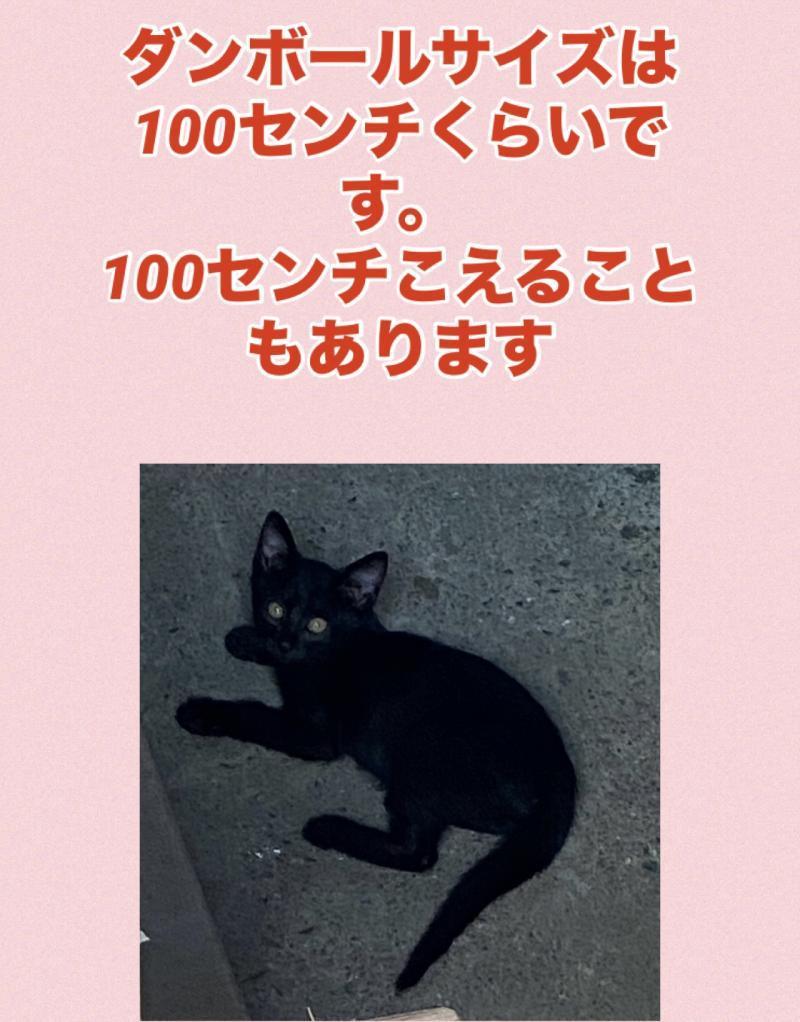 出品者名-写真-1