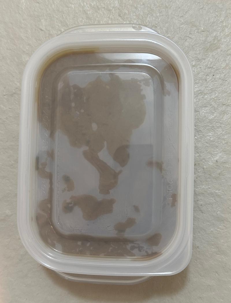 出品者名-写真-1