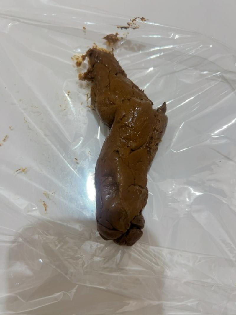 出品者名-写真-1