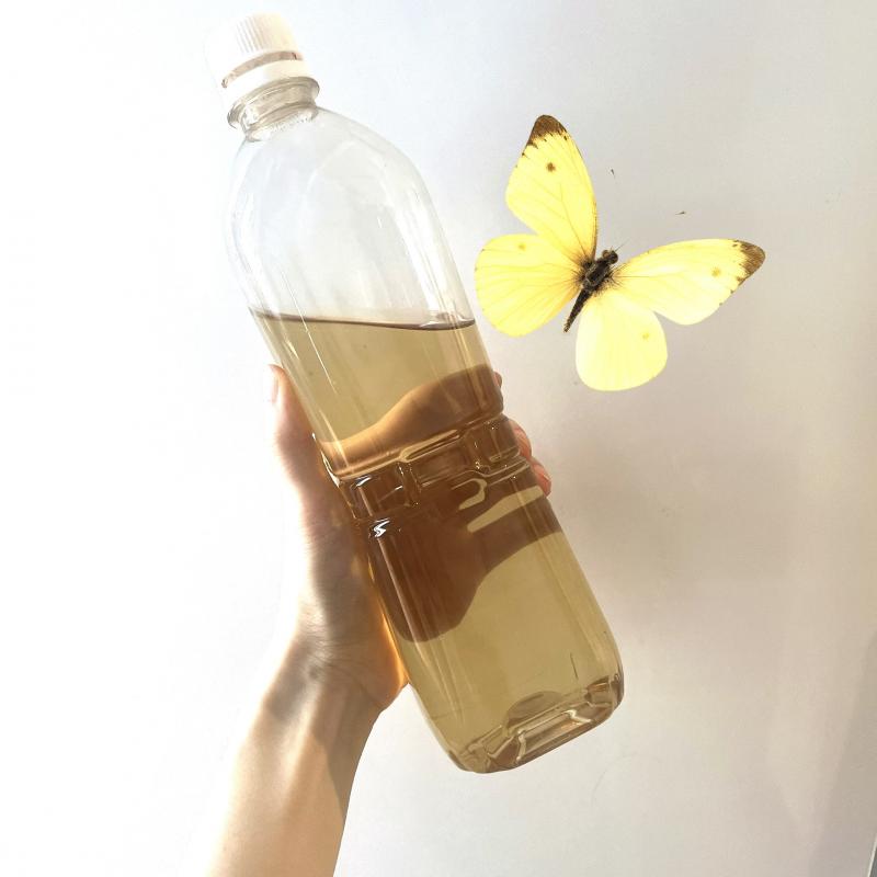出品者名-写真-1