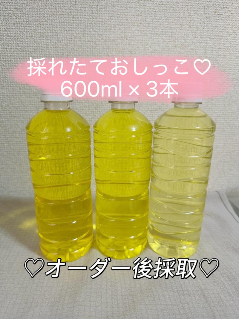 出品者名-写真