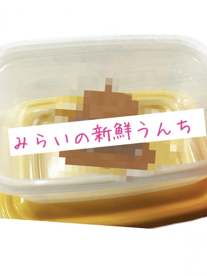 出品者名-写真