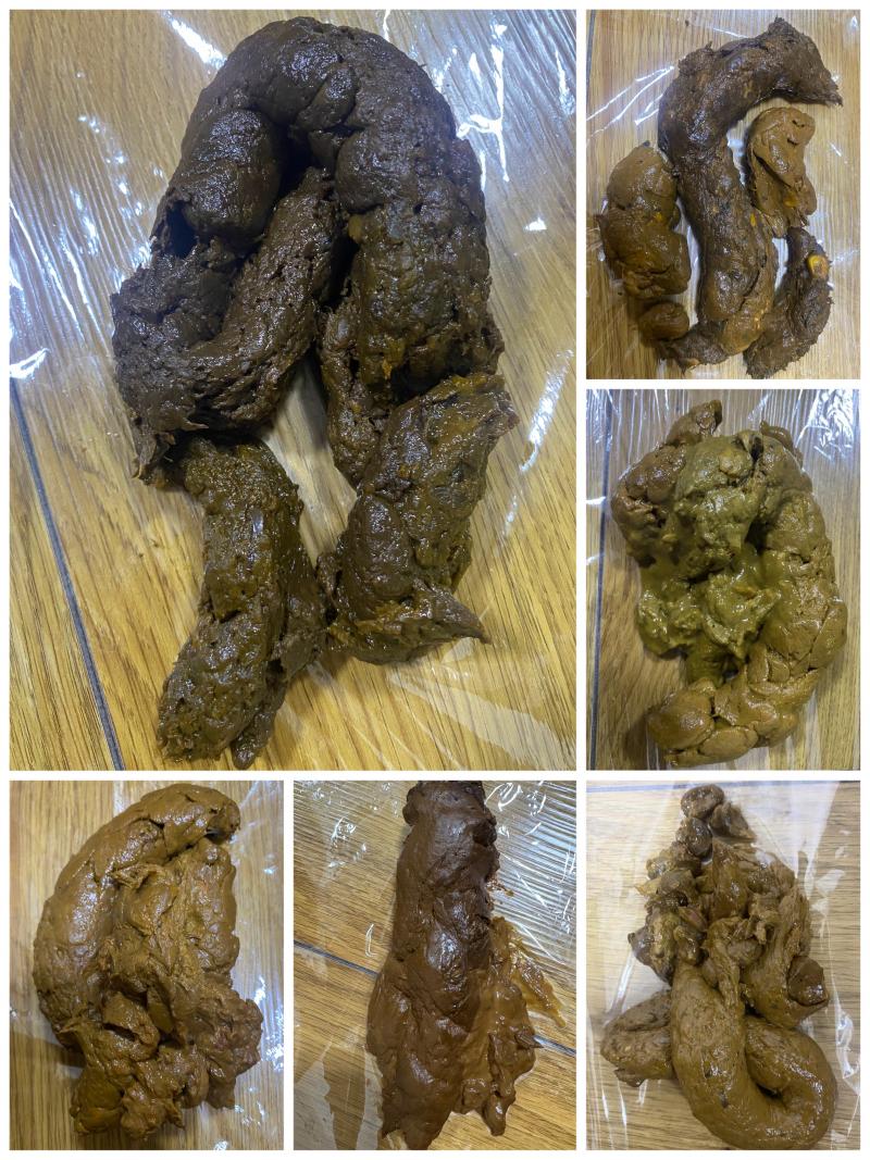 出品者名-写真-1