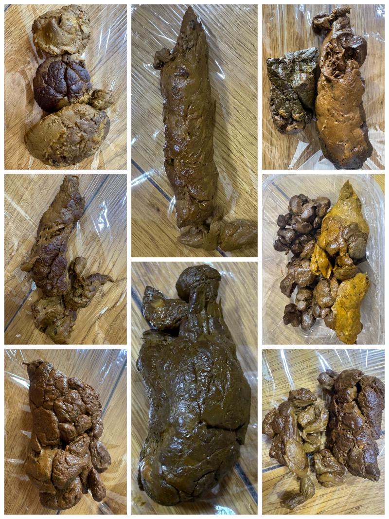 出品者名-写真-1