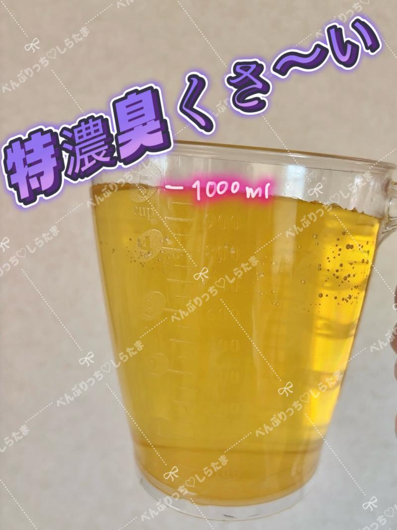 出品者名-写真