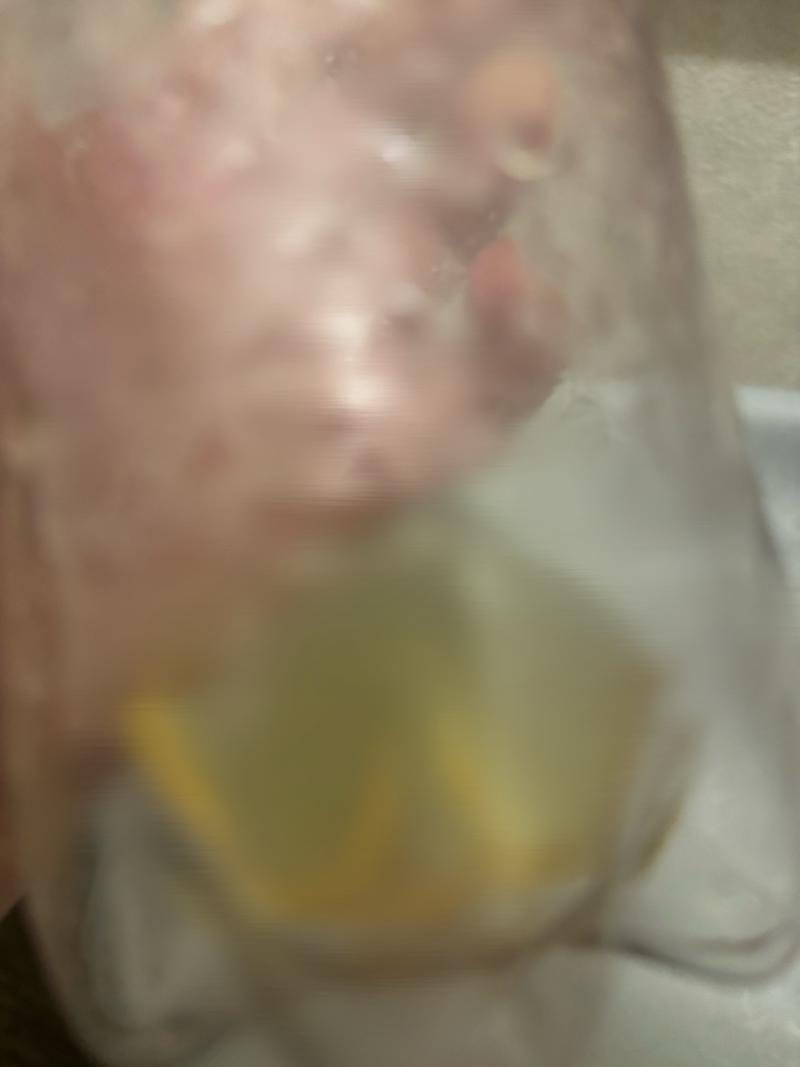 出品者名-写真-1
