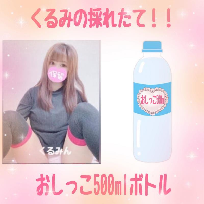 出品者名-写真