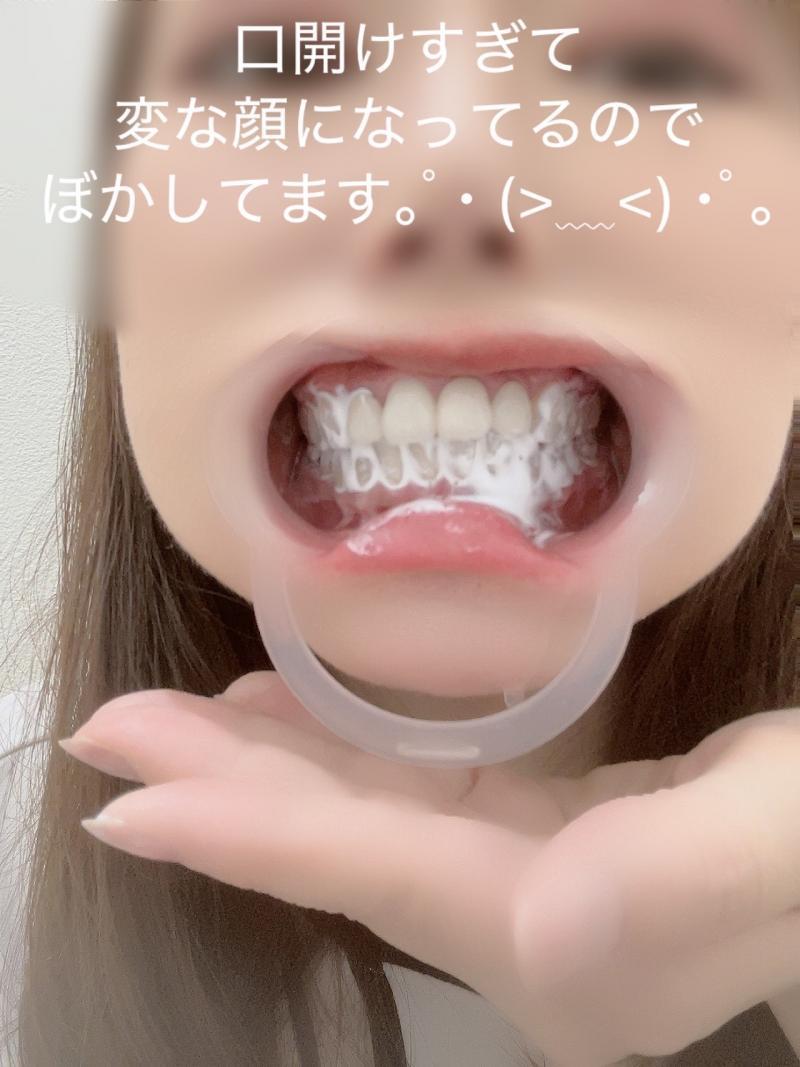 出品者名-写真-1