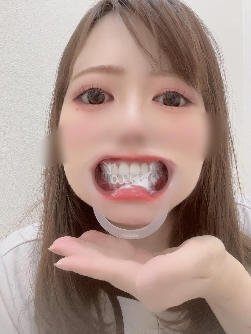 出品者名-写真