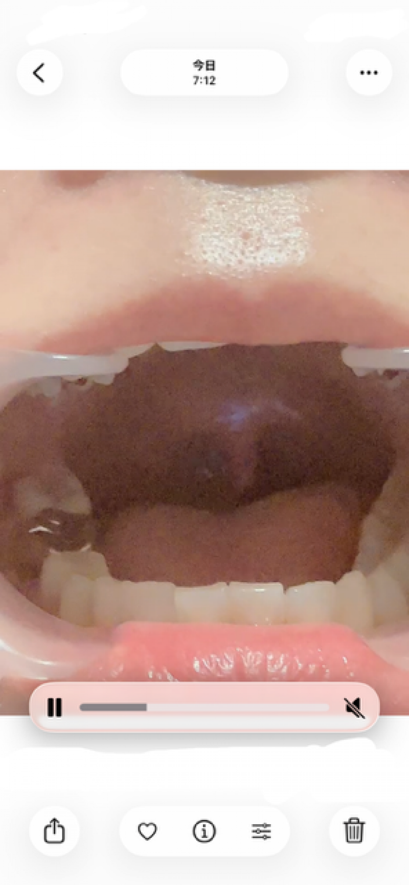 出品者名-写真-1