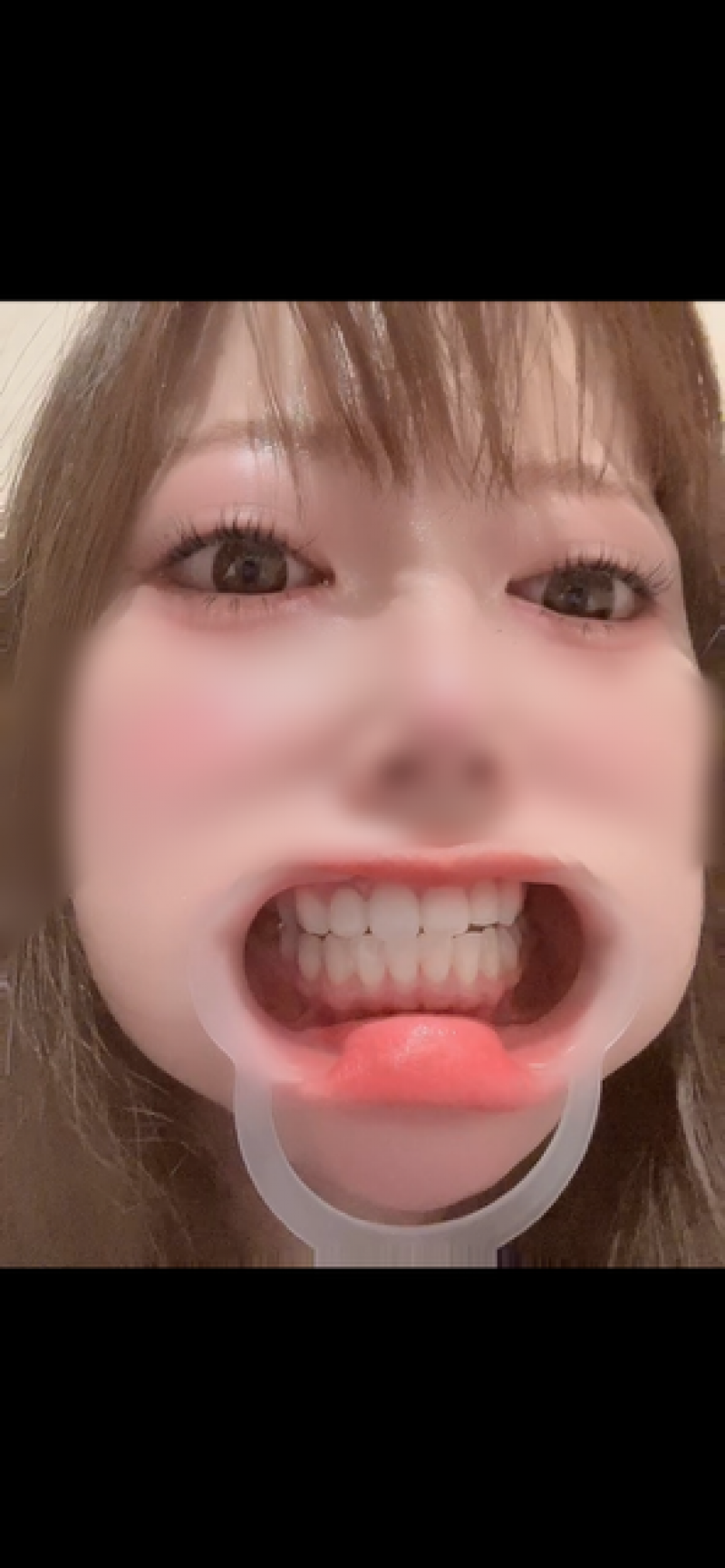 出品者名-写真