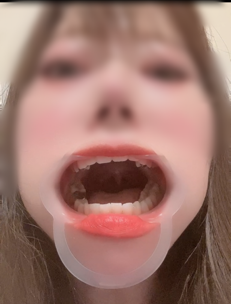 出品者名-写真-1