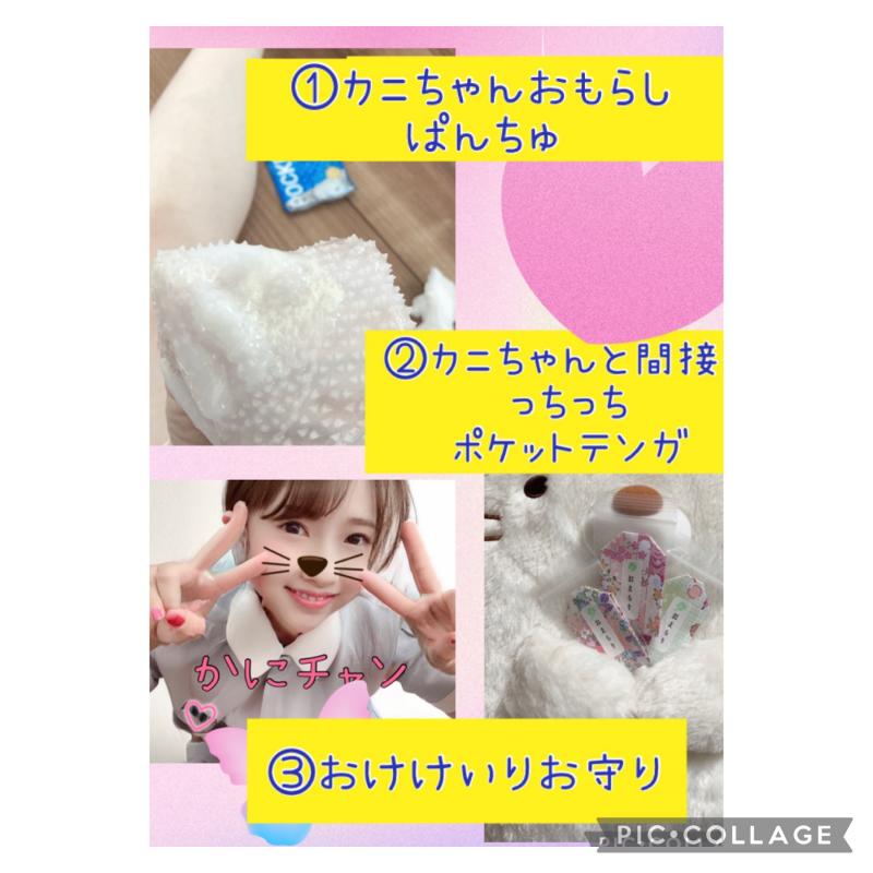 出品者名-写真