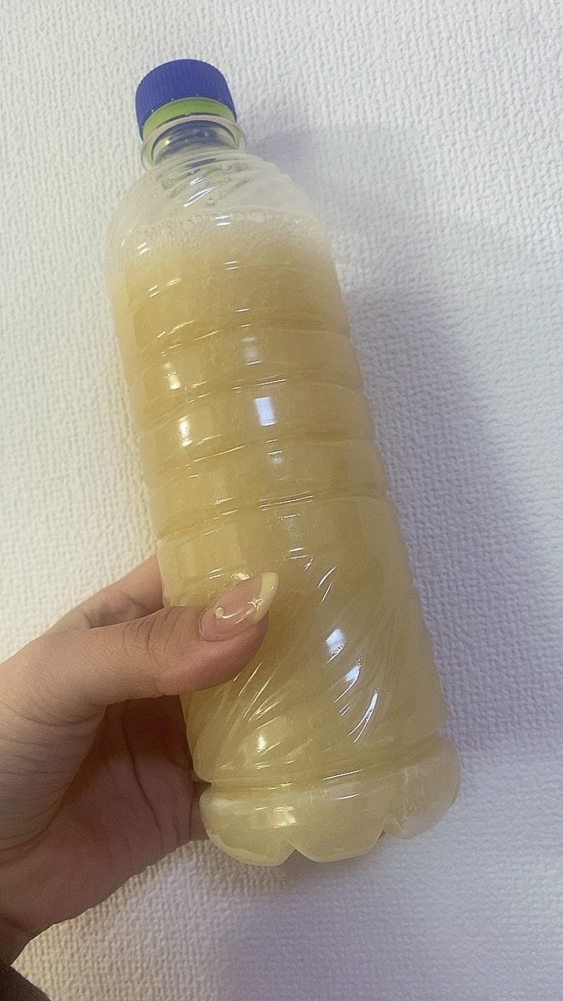 出品者名-写真
