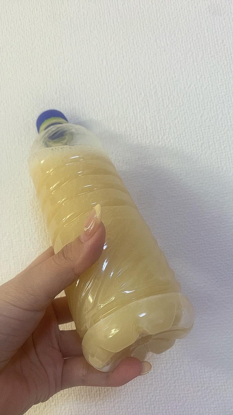 出品者名-写真-1