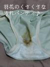 出品者名-写真-1