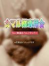 出品者名-写真-1
