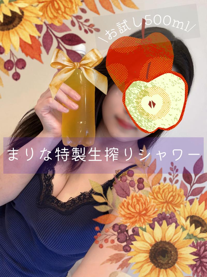 出品者名-写真