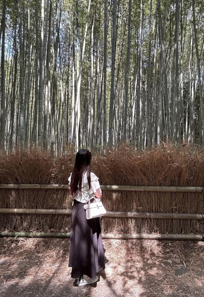出品者名-写真-1